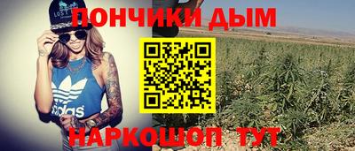 молекула духа Будённовск