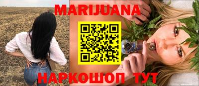 молекула духа Будённовск