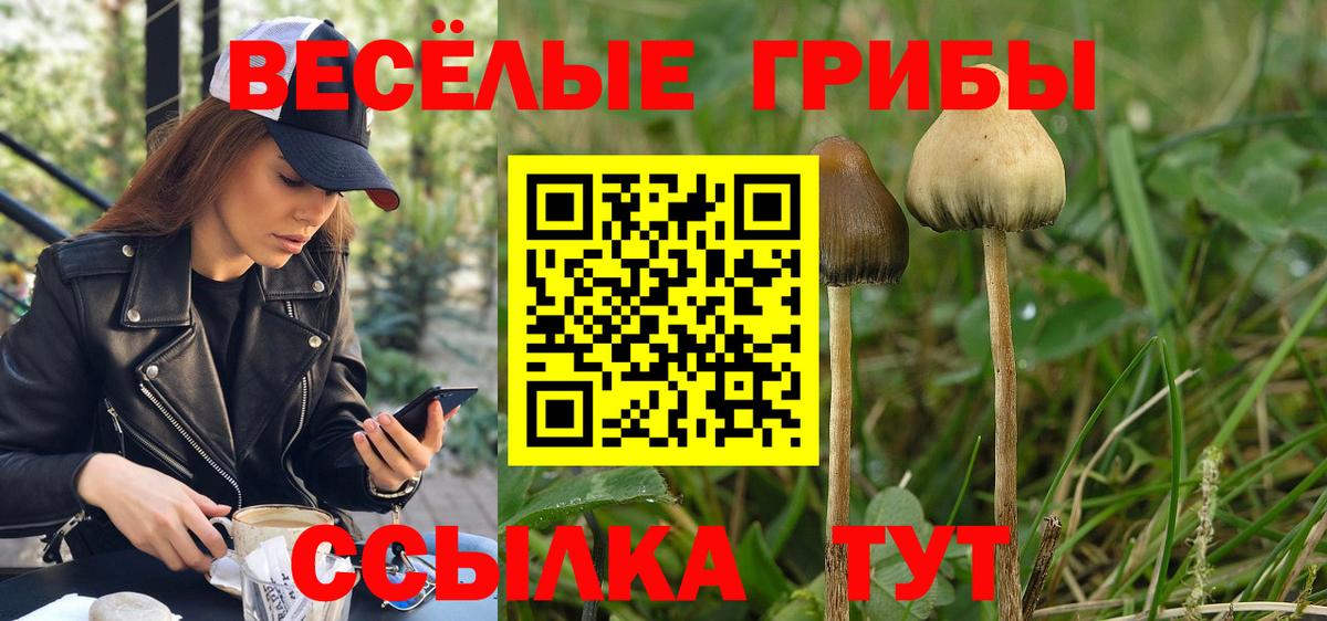 купить   Вход с VPN  Тобольск  Галлюциногенные грибы мицелий 