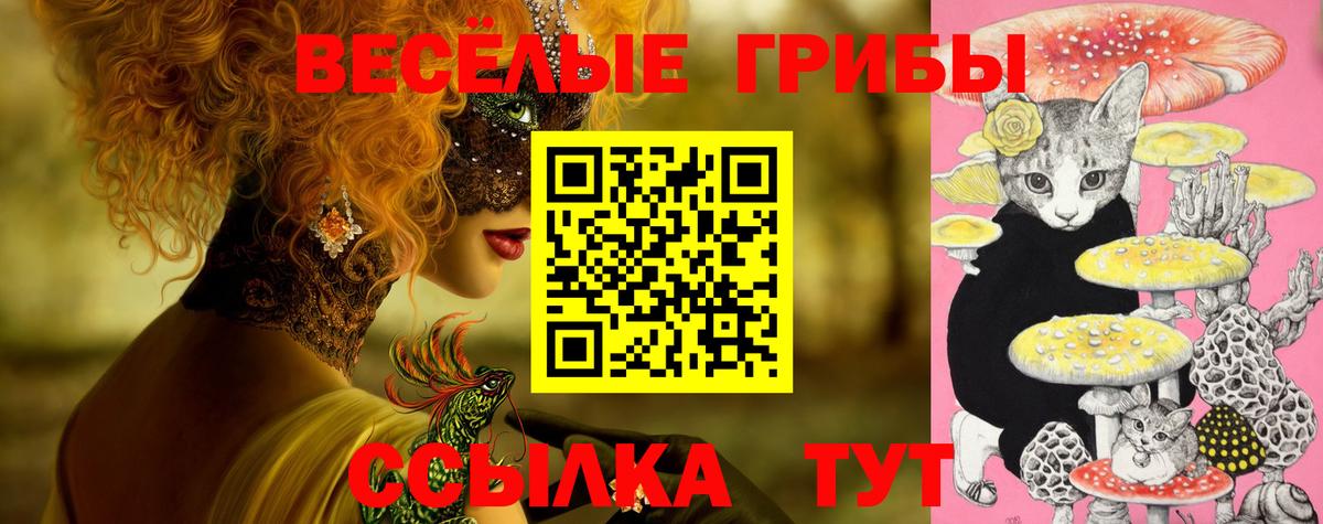 Псилоцибиновые грибы мухоморы Тобольск